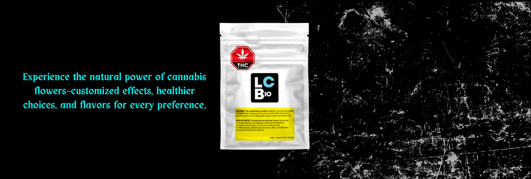 Dried Cannabis
